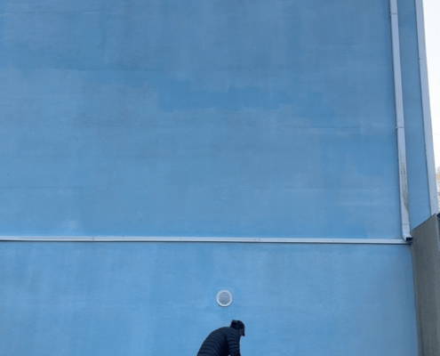 Fassaadi puhastus Fassaadi puhastus